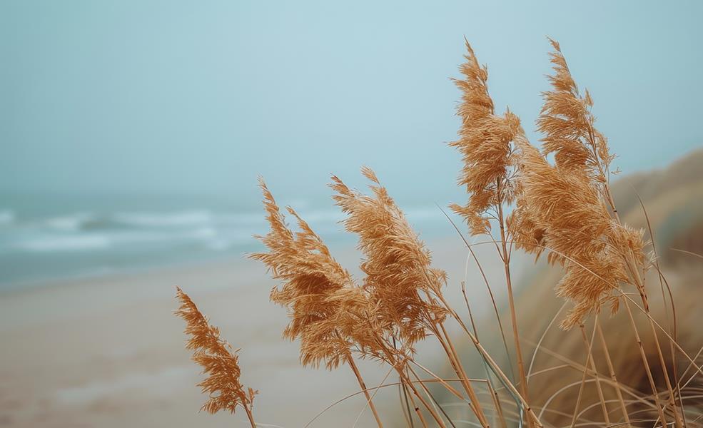 Blowing In The Wind (Framed) - Light Blue