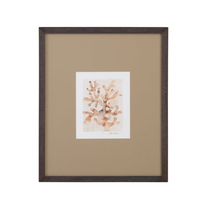 Parchment Coral I Framed Print - Brown