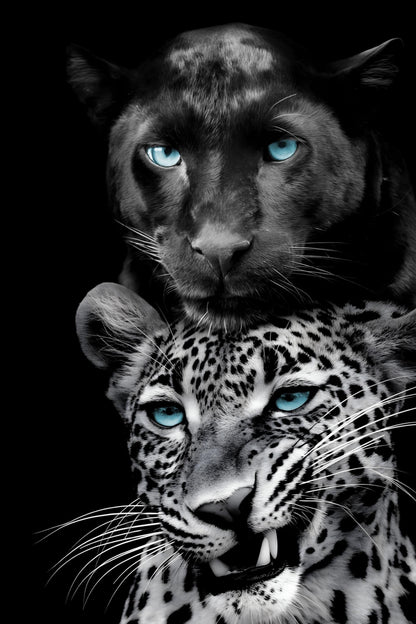 Azure Gaze Duo - 40" x 60" Framed Wall Art - Black