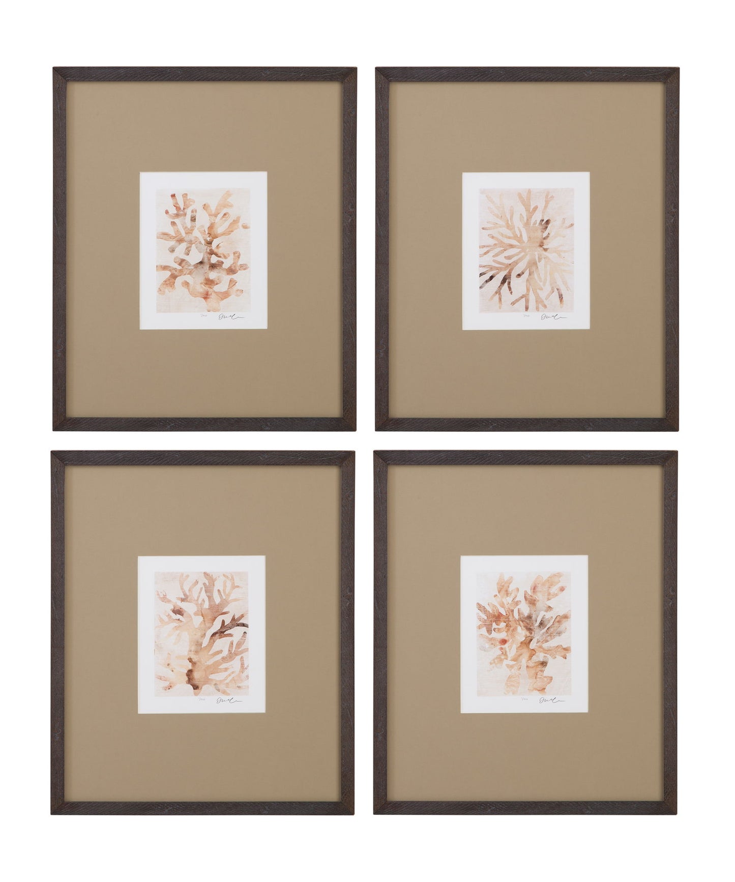 Parchment Coral I Framed Print - Brown