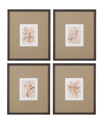 Parchment Coral I Framed Print - Brown