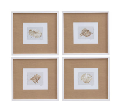Neutral Shell Fresco III Framed Print - Light Brown / White